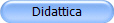 Didattica